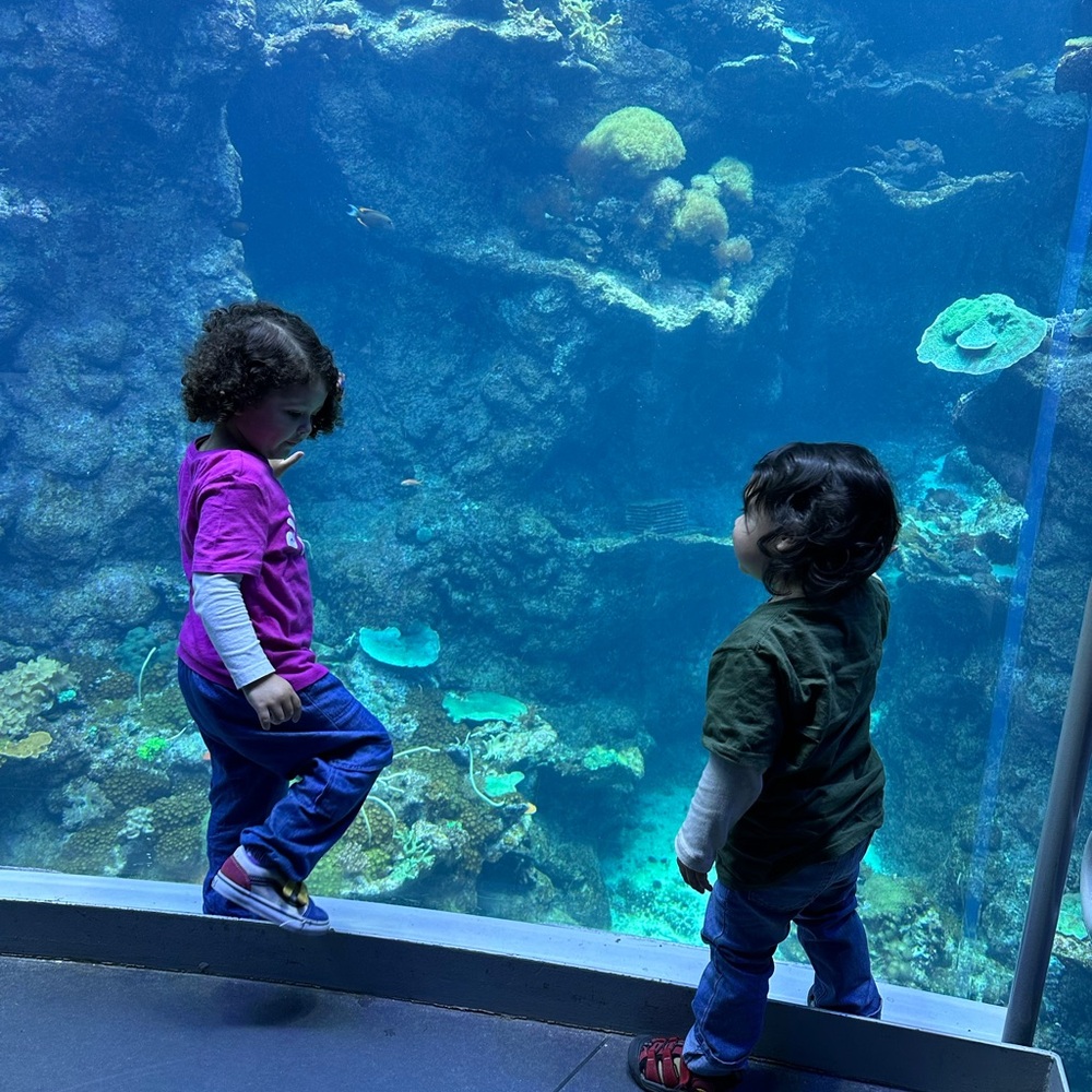 If you love a good deal, you won't be disappointed. 🌻🍭🍯🎖️